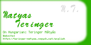matyas teringer business card